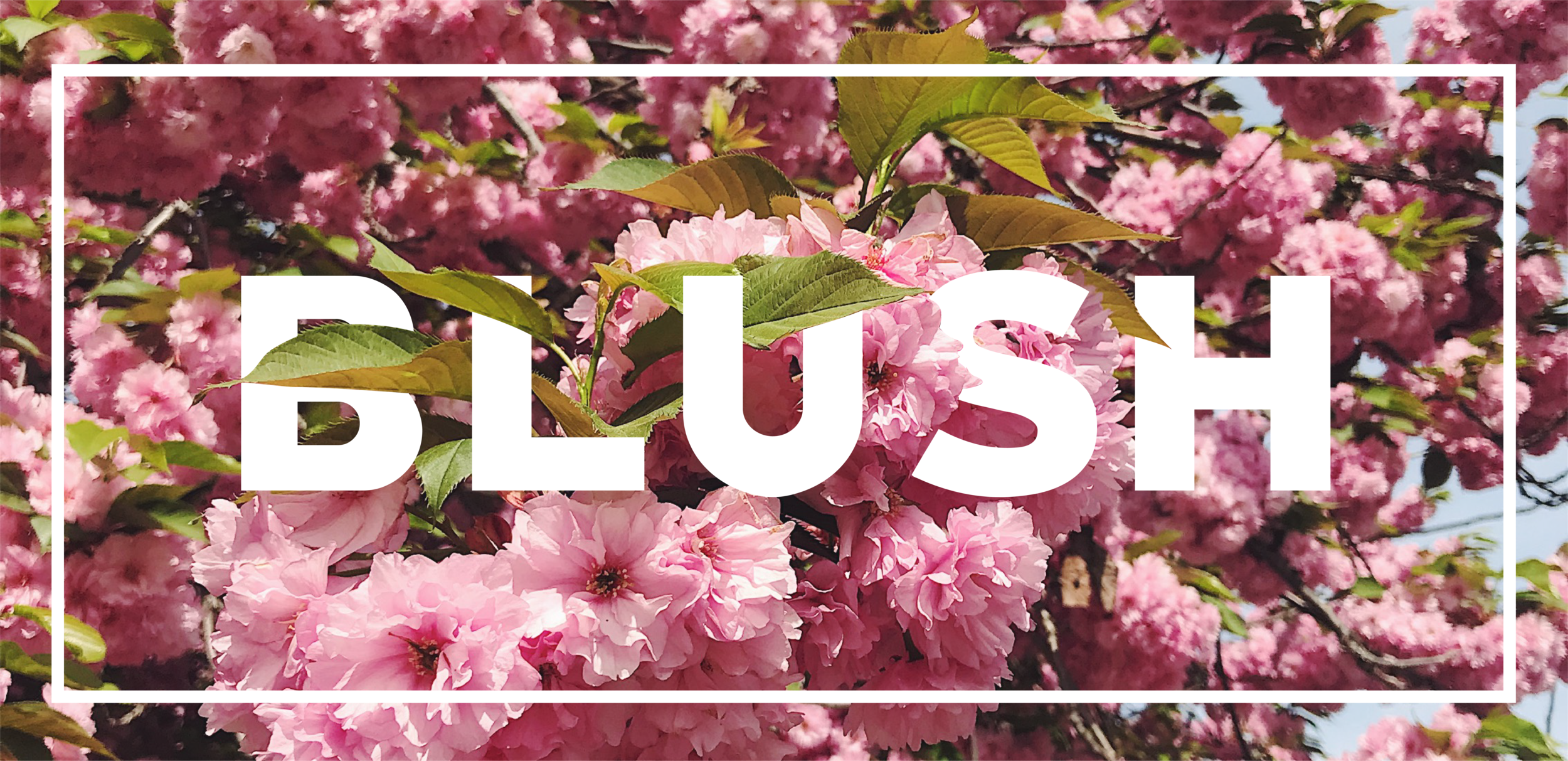 BLUSH.png