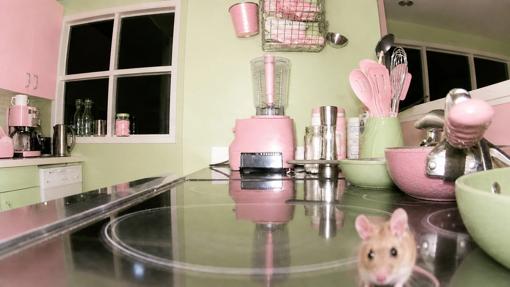 mouse22.jpg