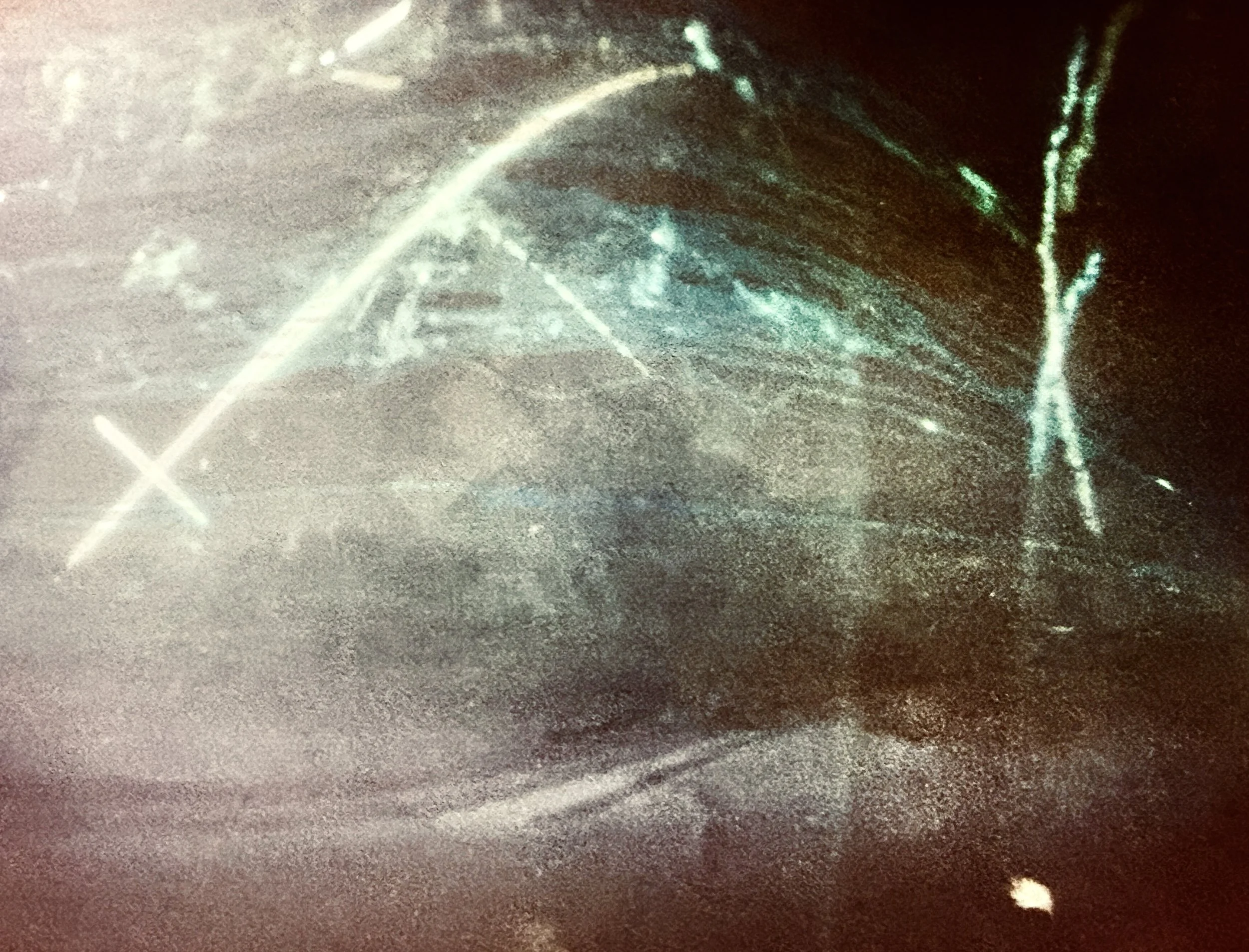 untitled_cohen-1 3.jpg