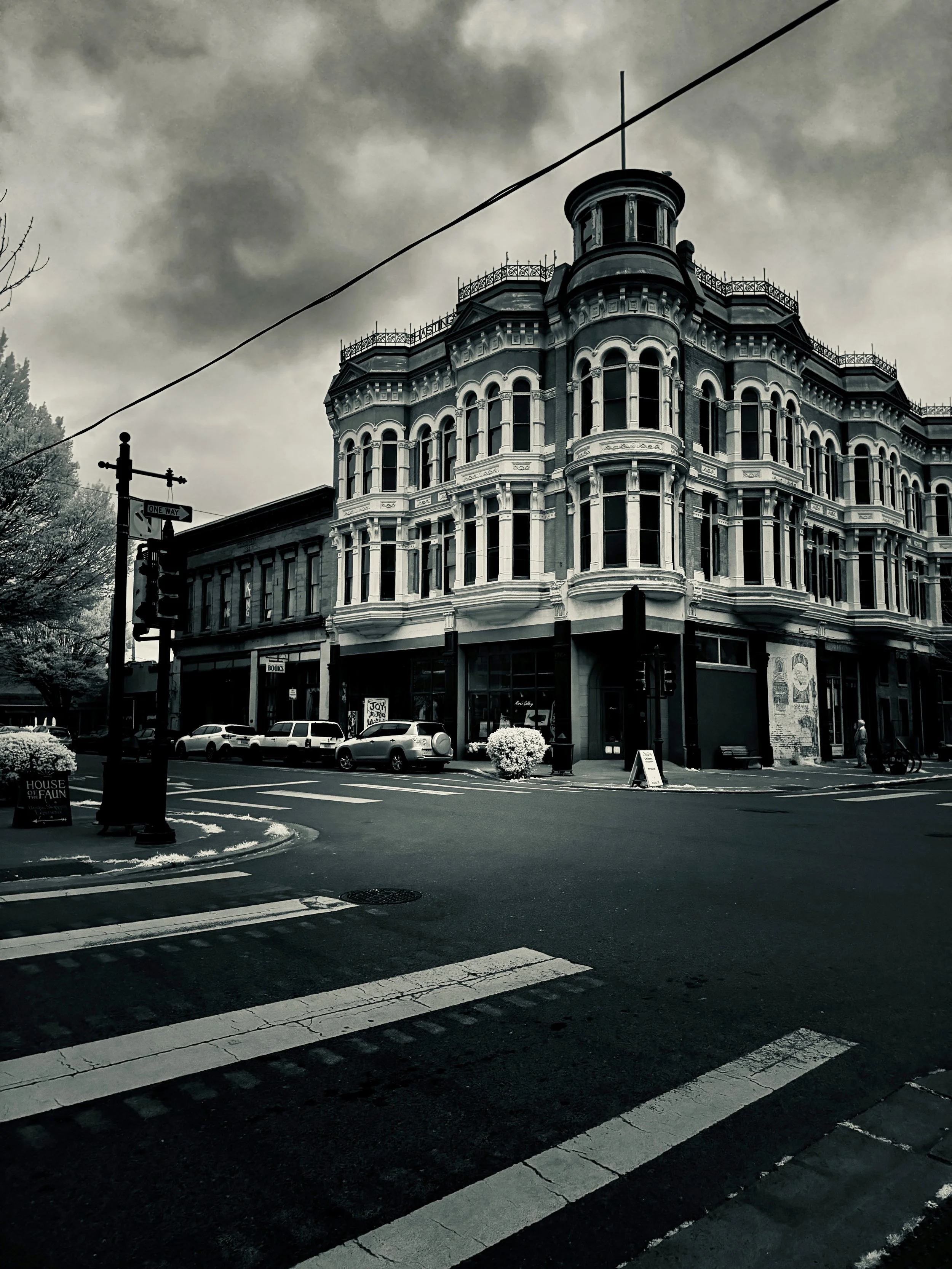 untitled_cohen-1 10.jpg