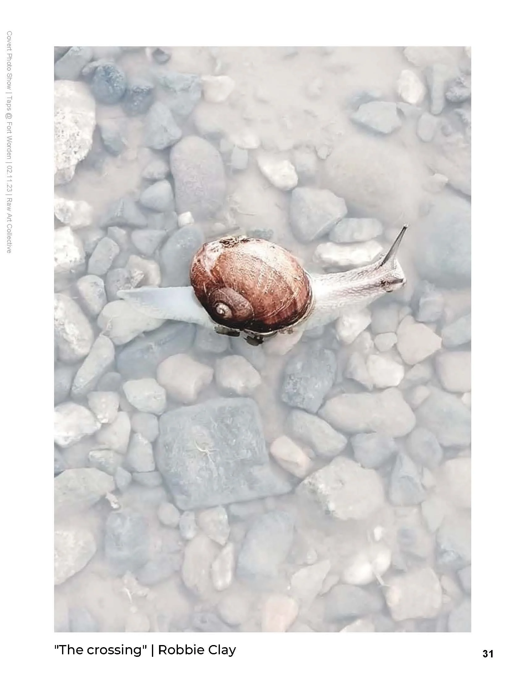 Covert Photo Show Final 020623_Page_031.jpg