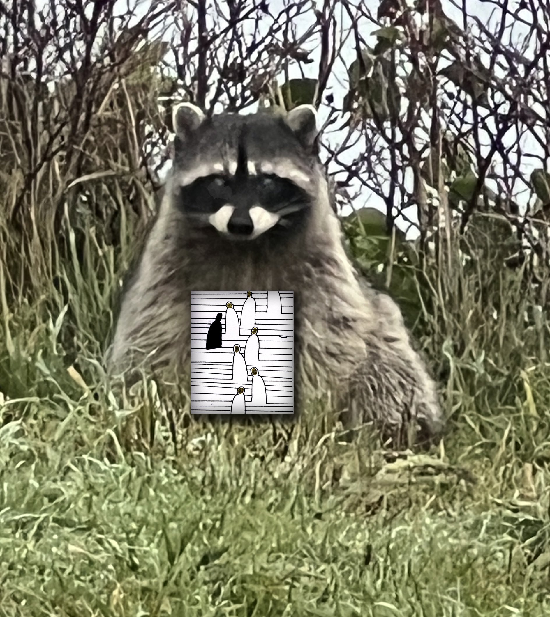 In the wild.JPG