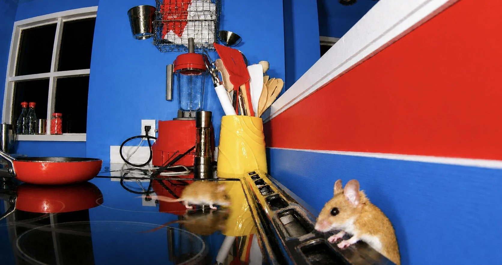 mouse16.jpg