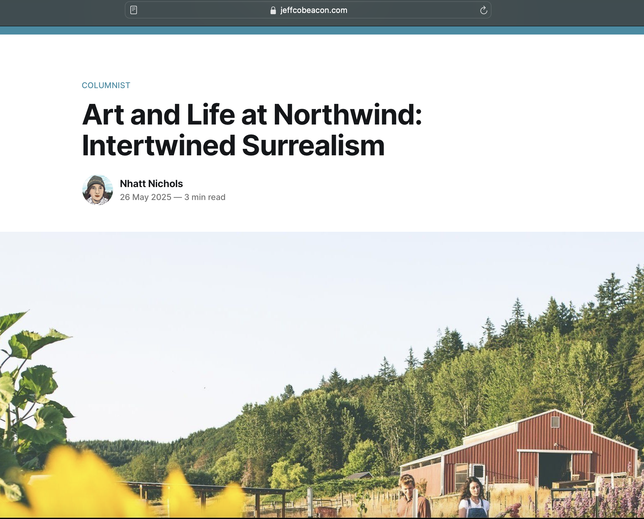 newspaper article about Raw Art Collective's camera obscura