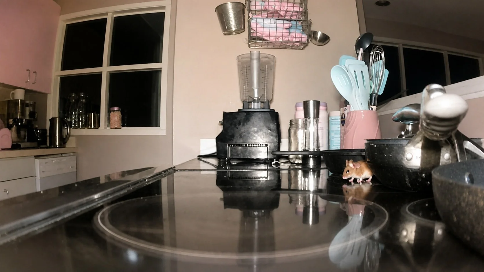mouse10.jpg
