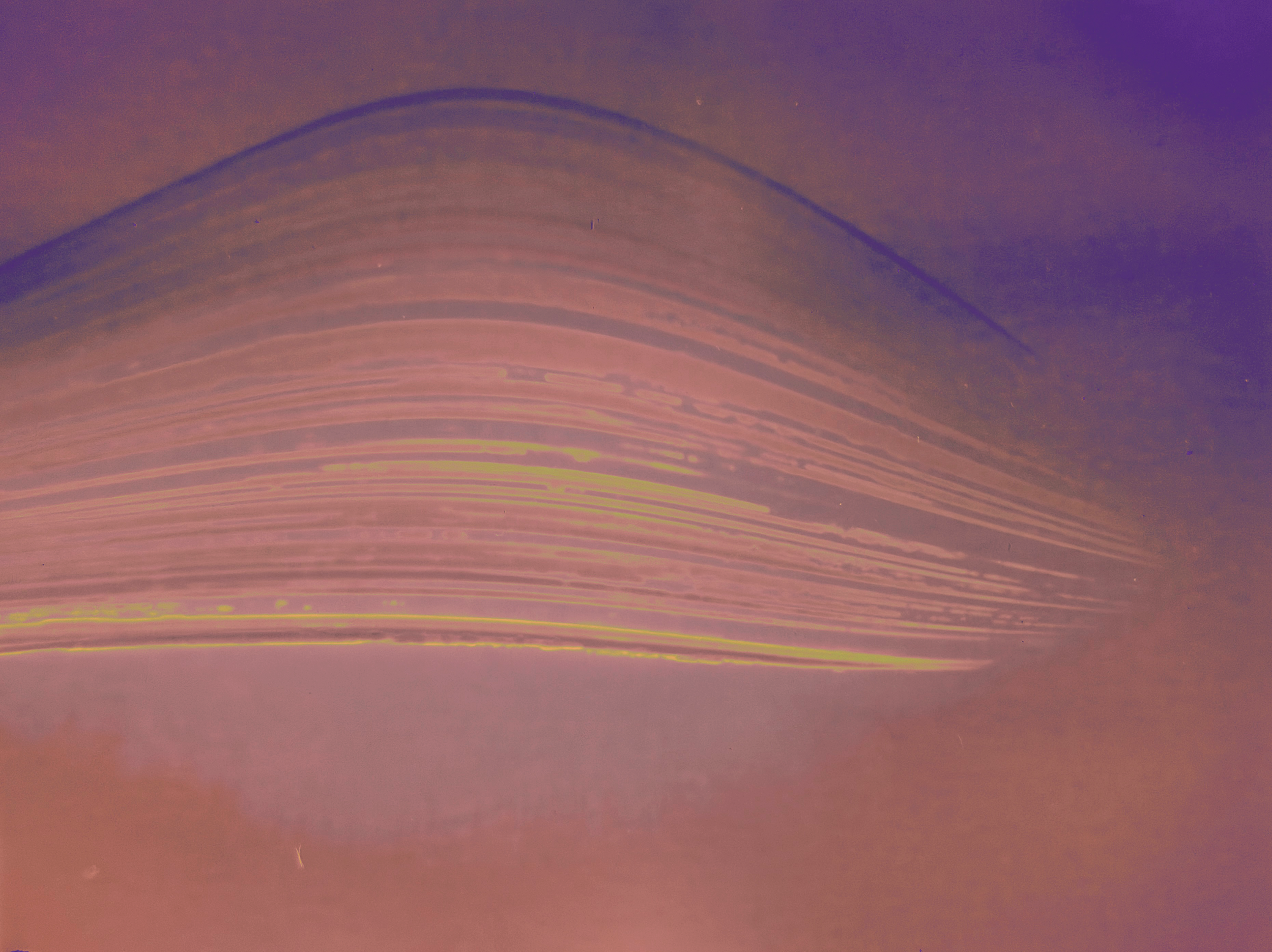 IMG_6744.PNG