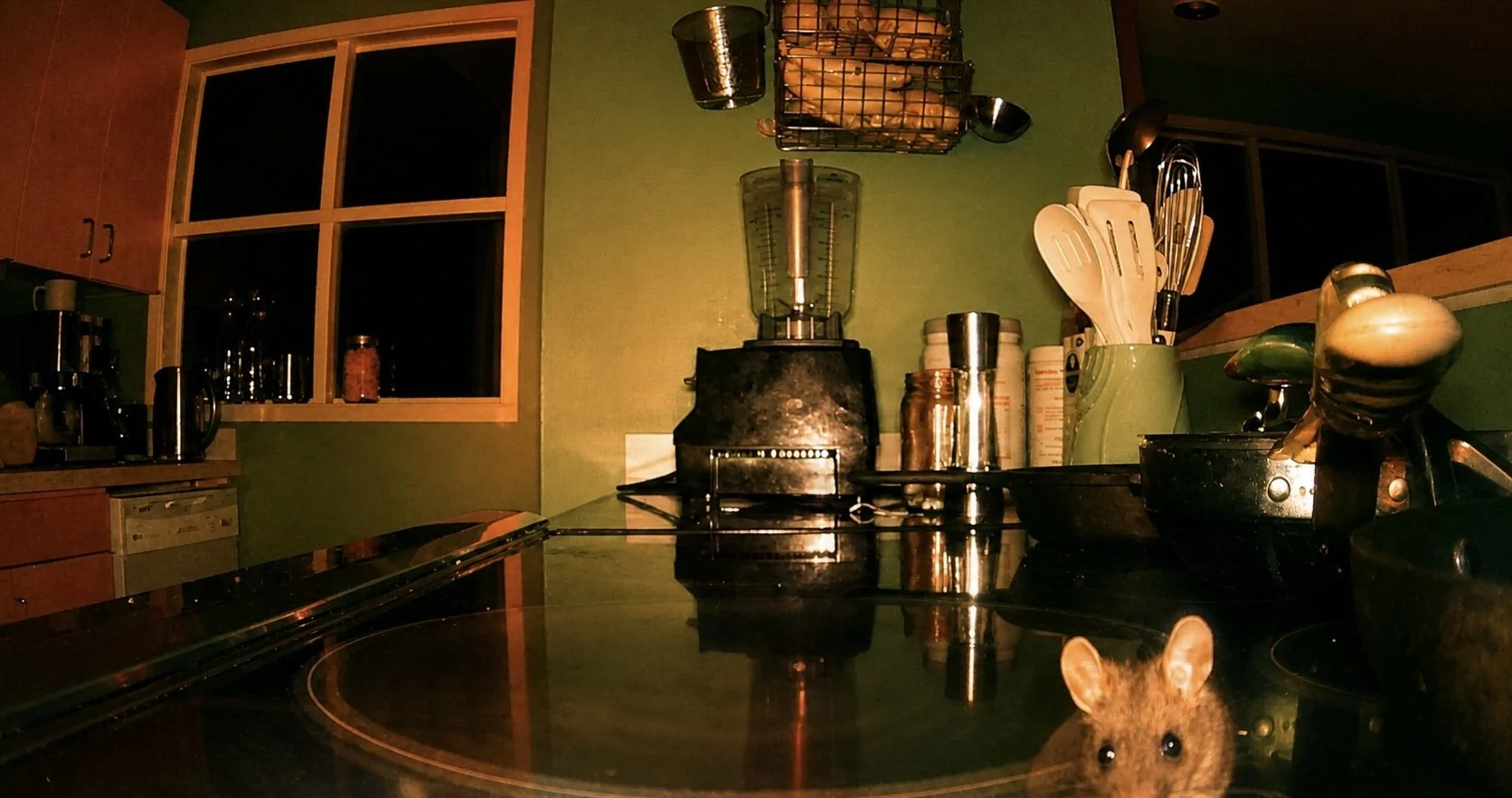 mouse26.jpg