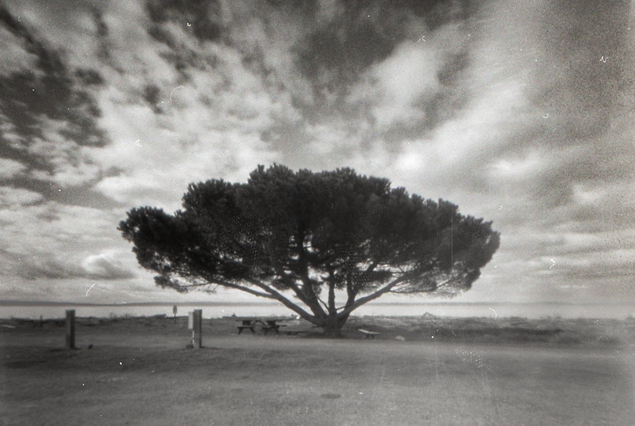 Pinhole Photo with Ranica Camera