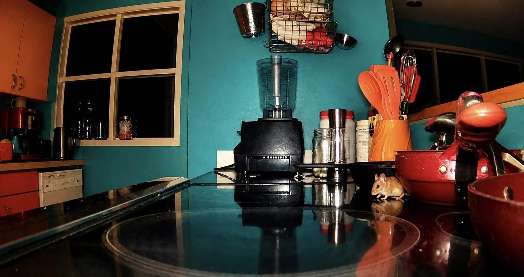 mouse20.jpg