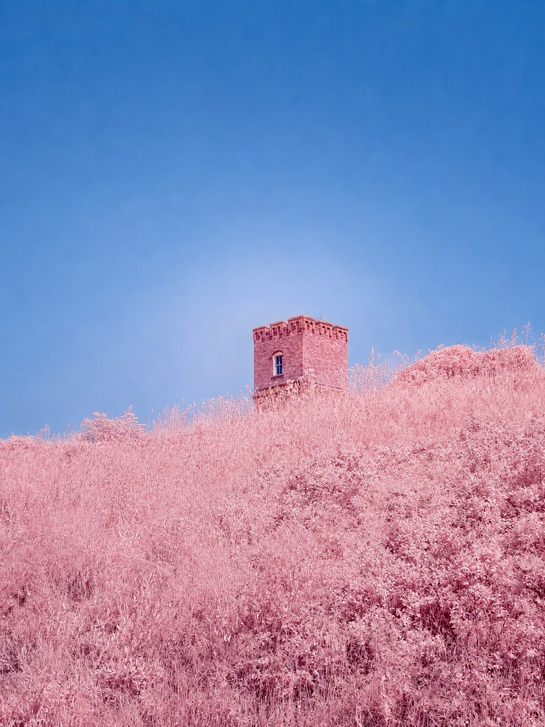 pink and blue castle.jpg