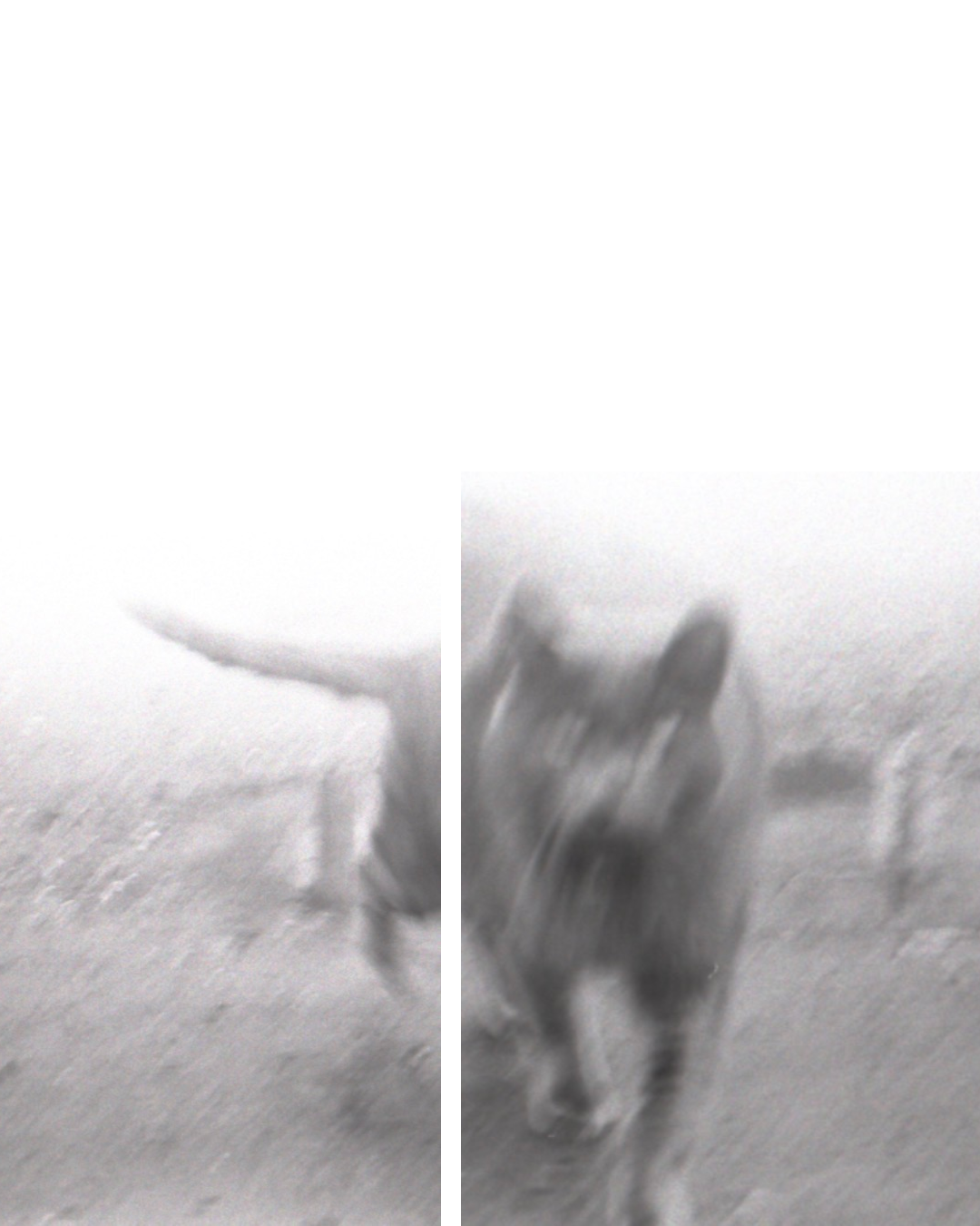 Untitled 13.PNG