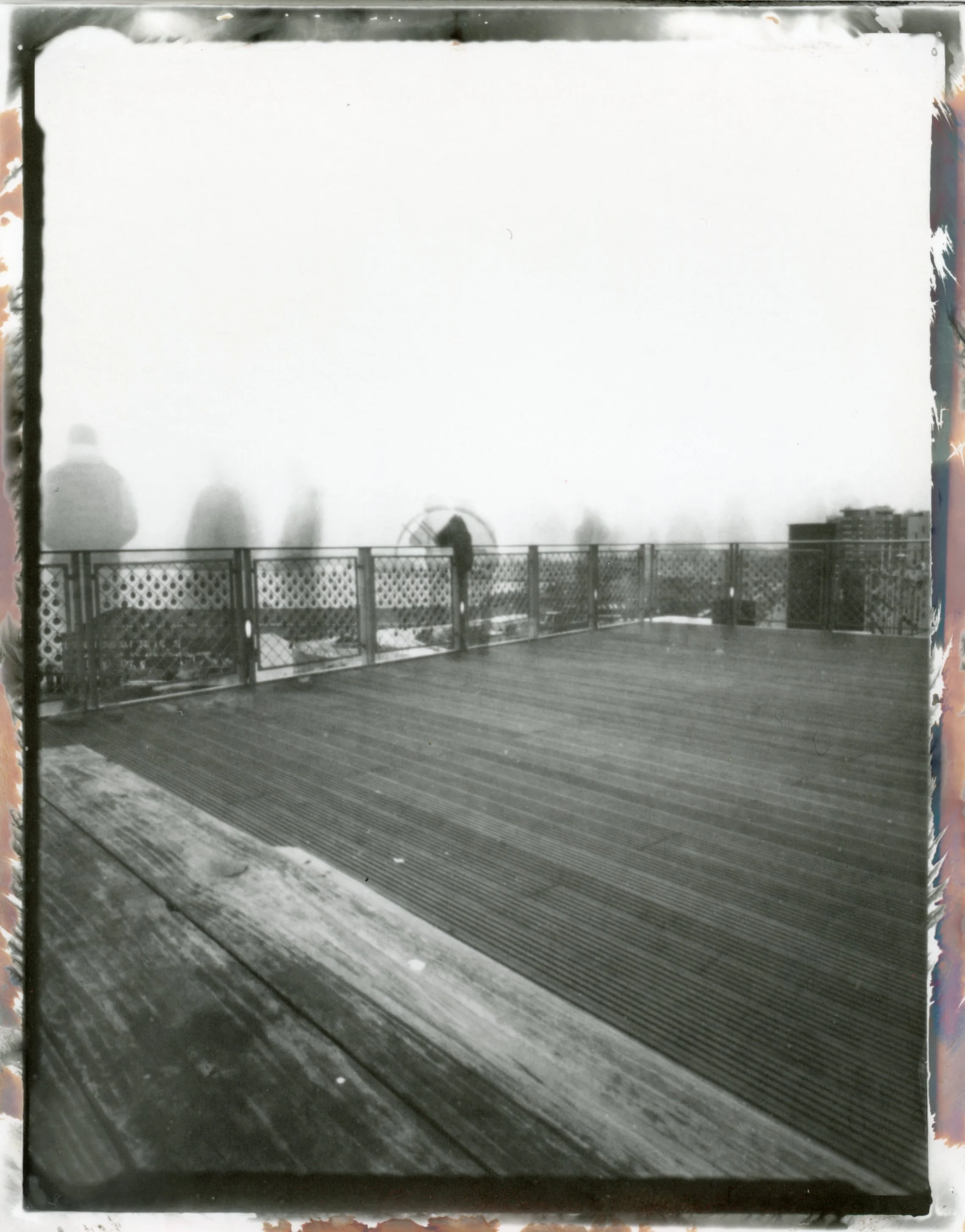 overlook seattle waterfront.jpg
