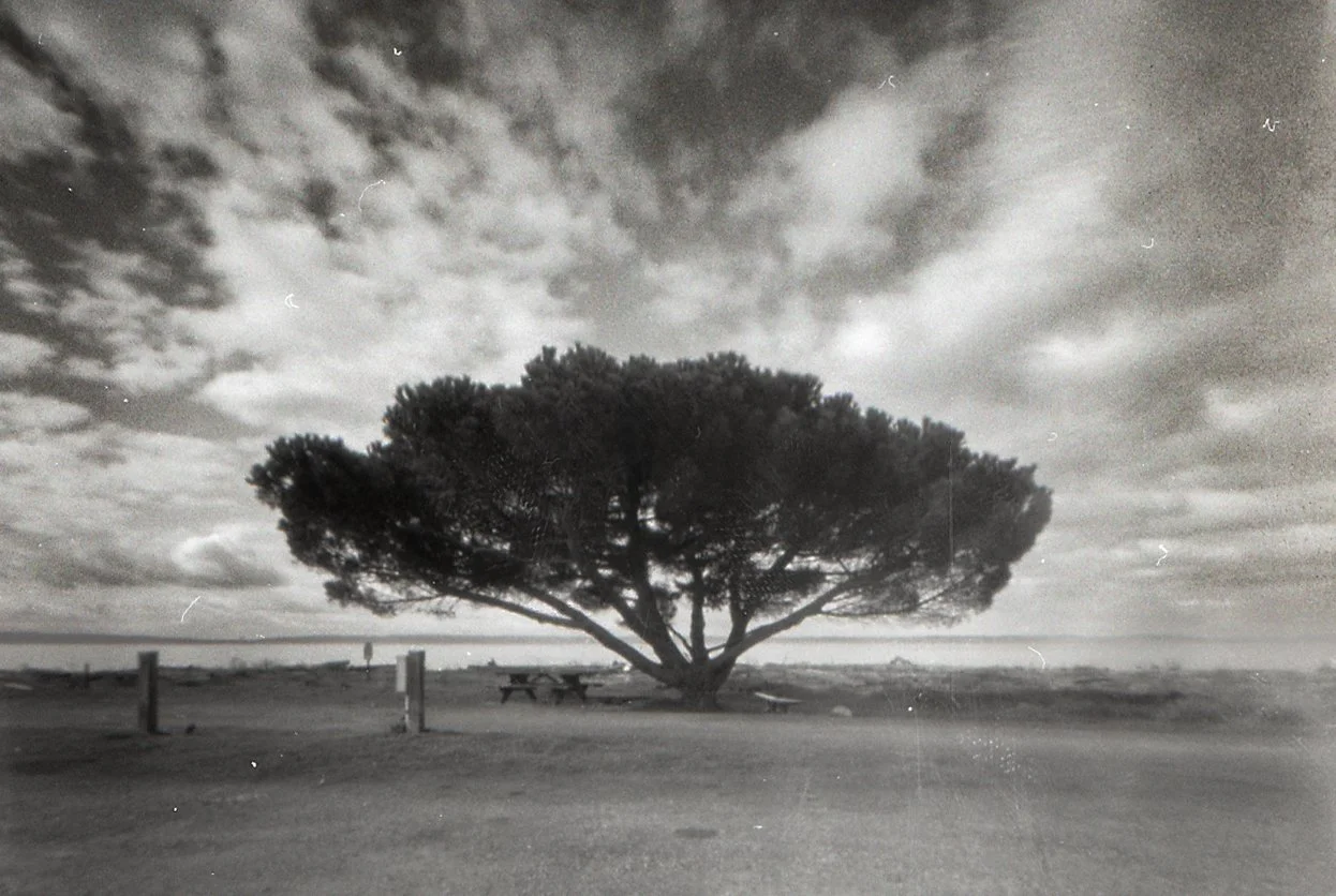 untitled_cohen-1 2.JPG