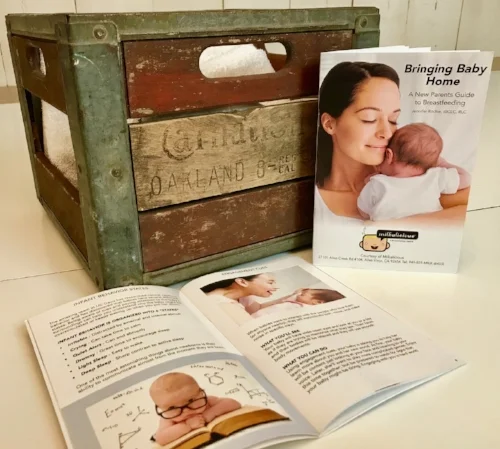 bringing baby home book