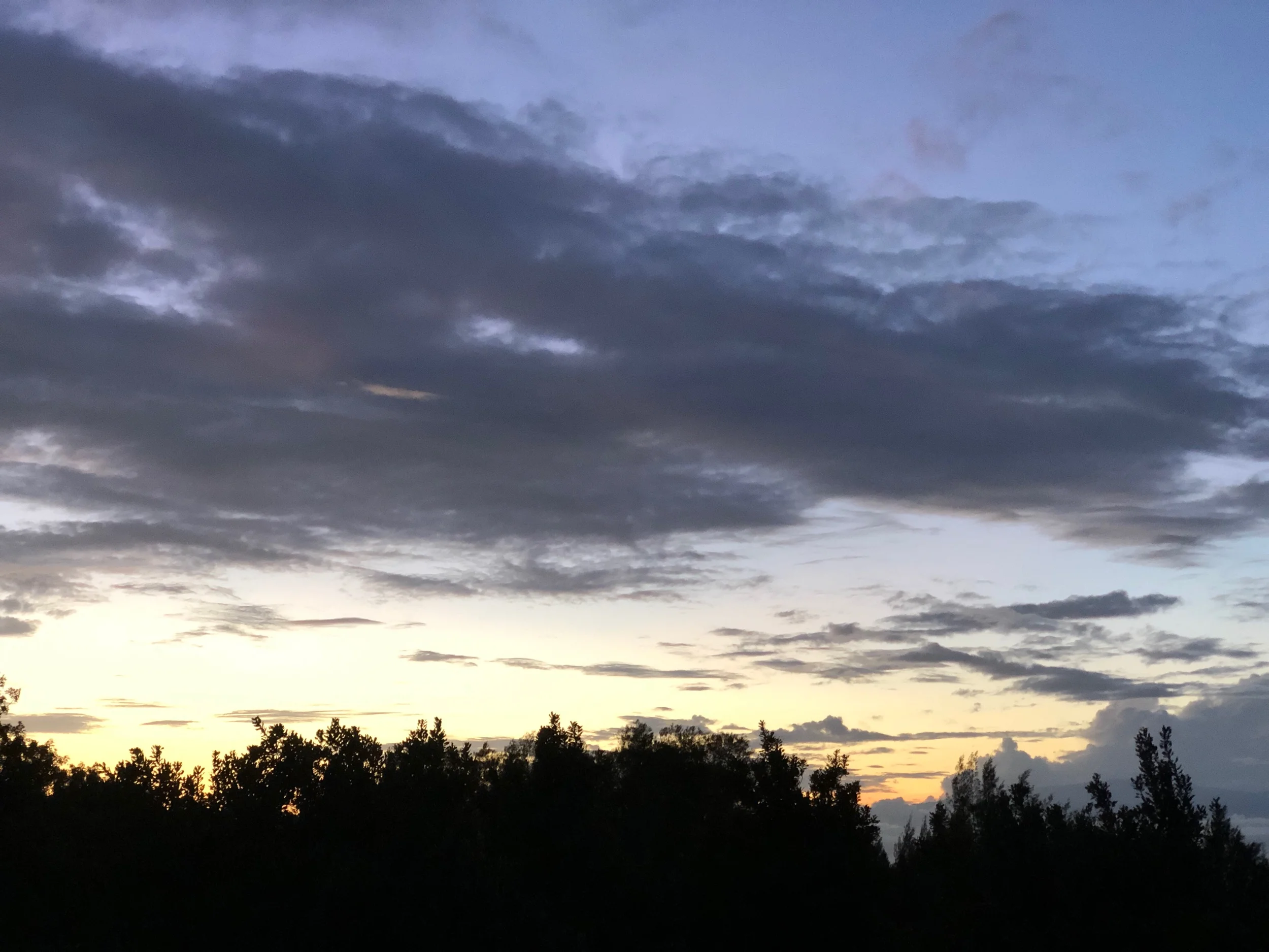 Repetition Rant and Interlude part II