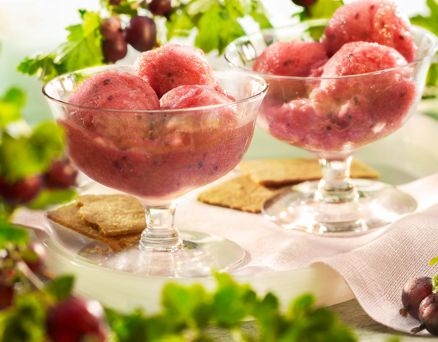 Gooseberry Sorbet
