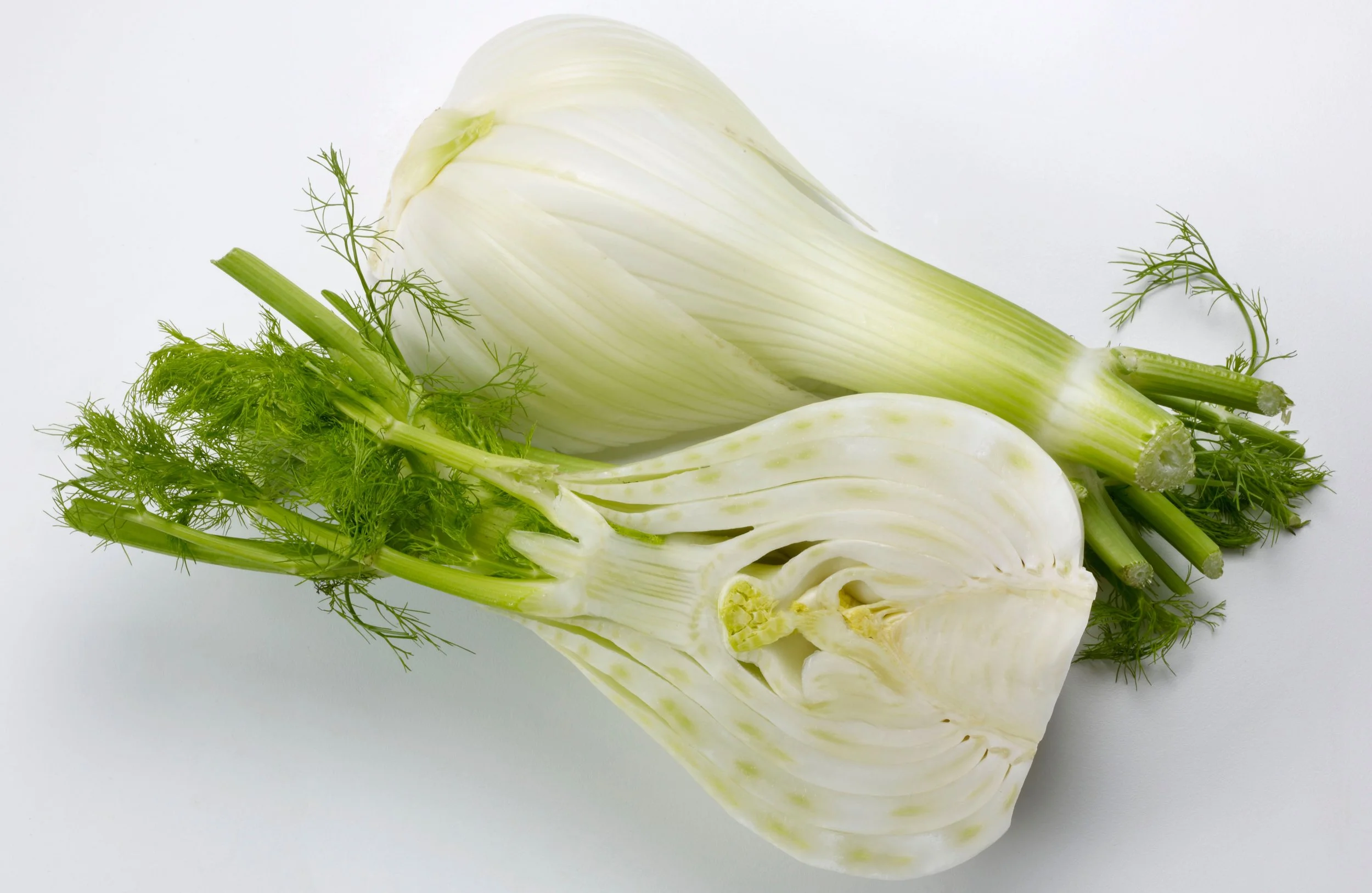 Fresh Fennel Bulb Halves