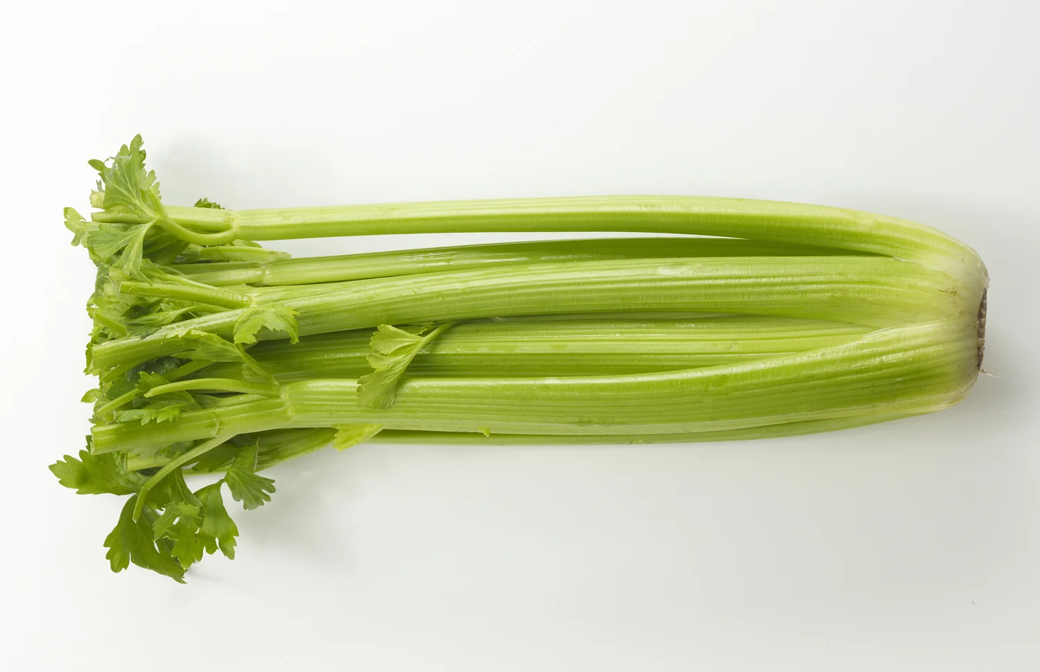 Celery