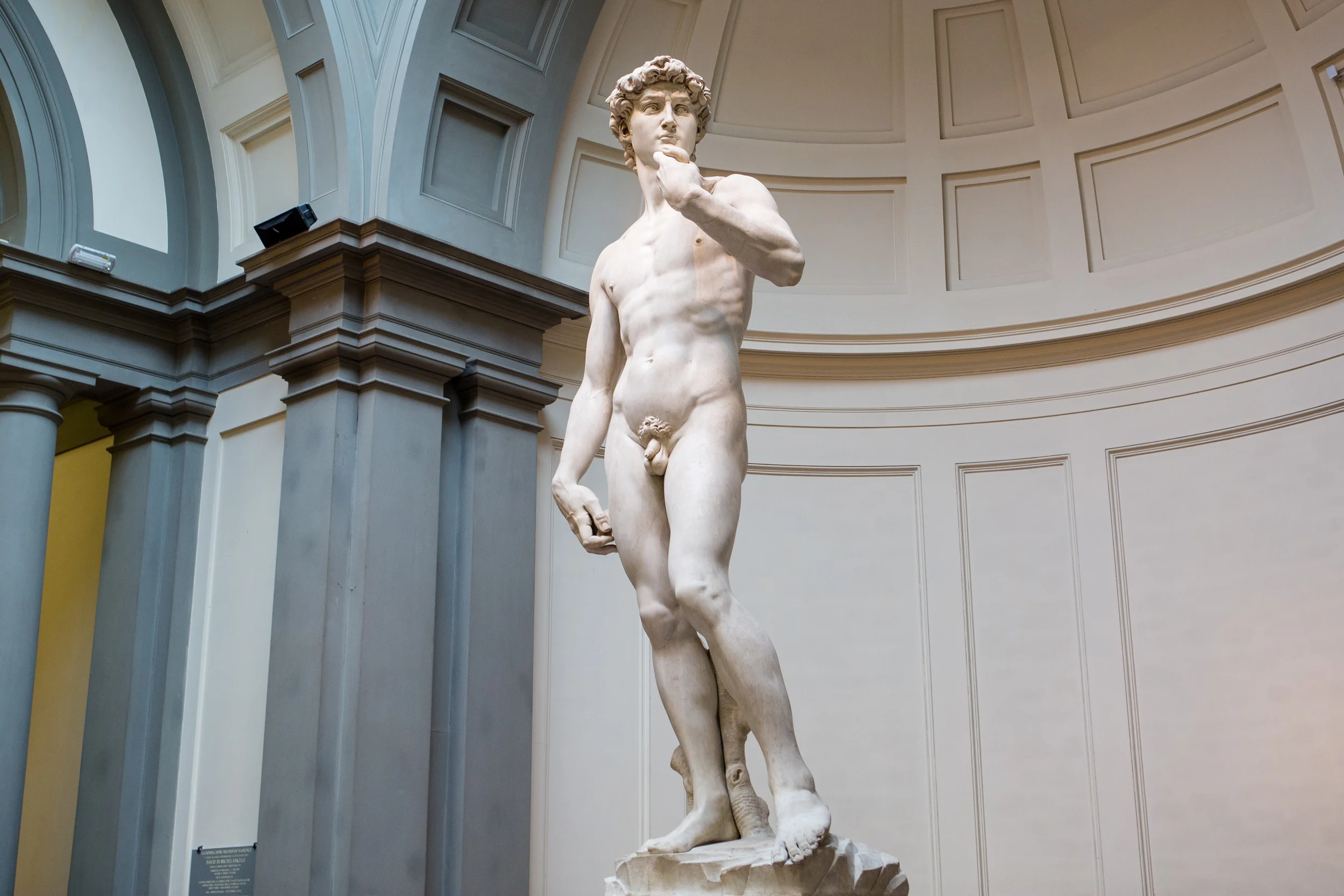 David 6691.jpg