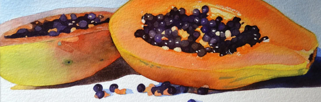 banner-papaya.jpg