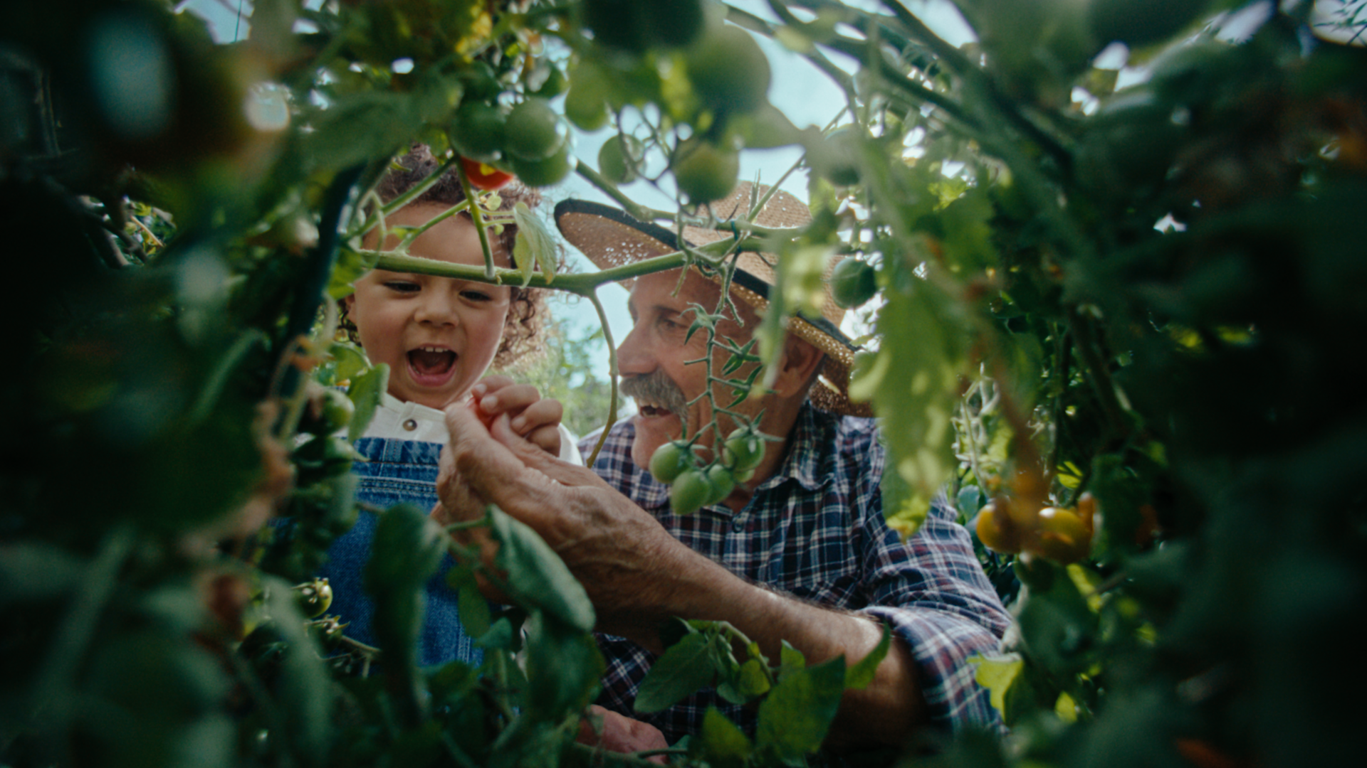 BUPA - Good health is contagious  |  Dir - Curtis Hill