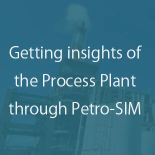 Getting insights of the Process Plant through Petro-SIM