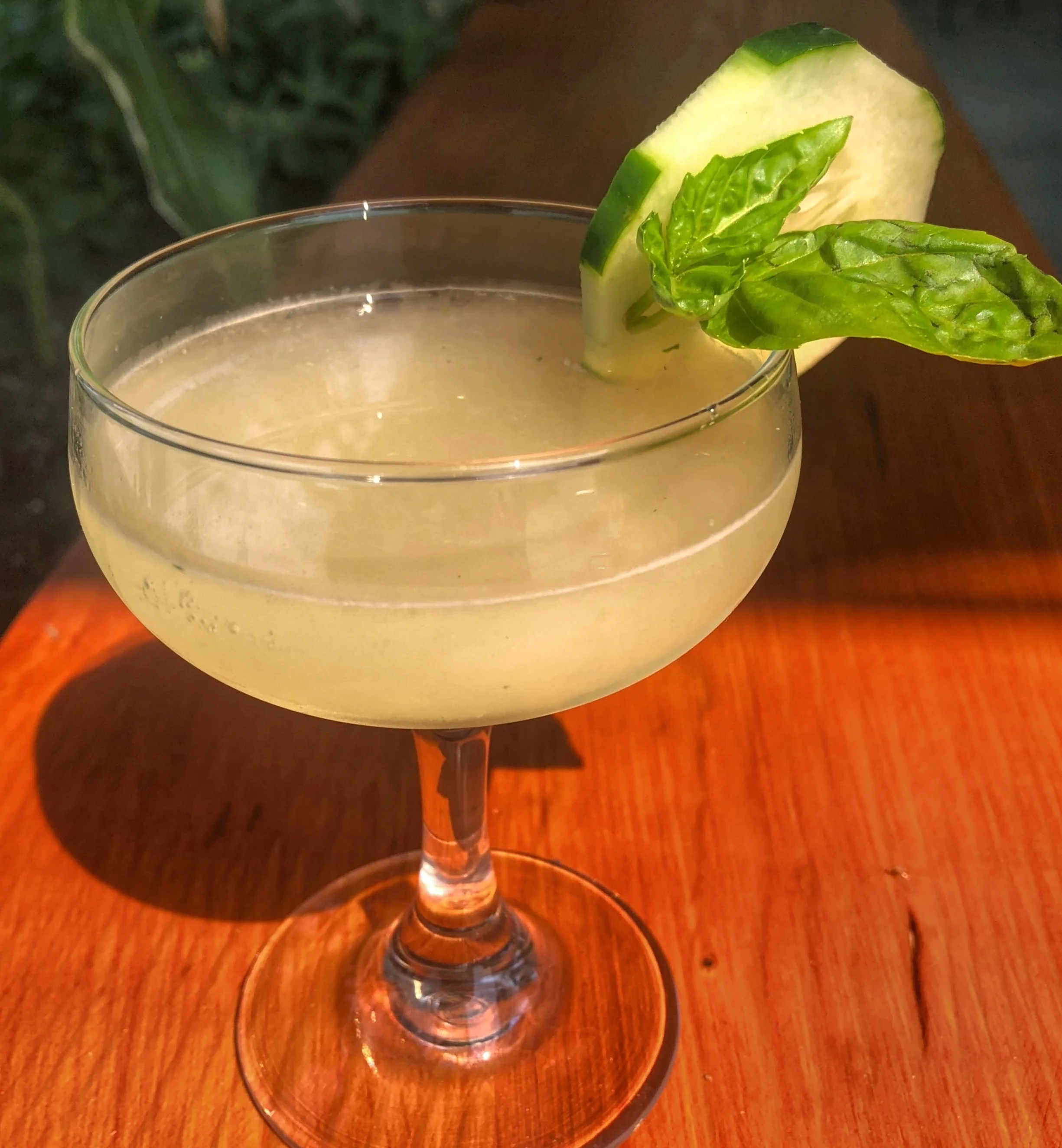 Cuc+Basil+sun.jpg