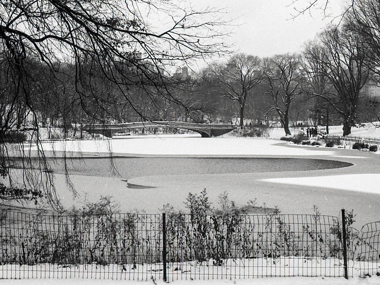 cpw08.jpg