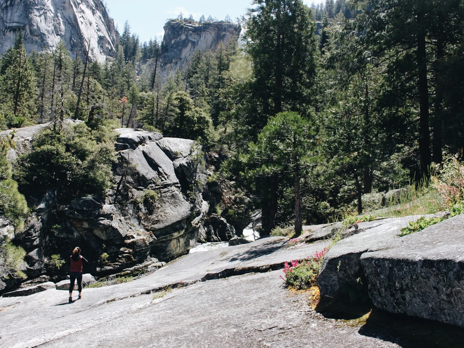 yosemite_vsco06.jpg