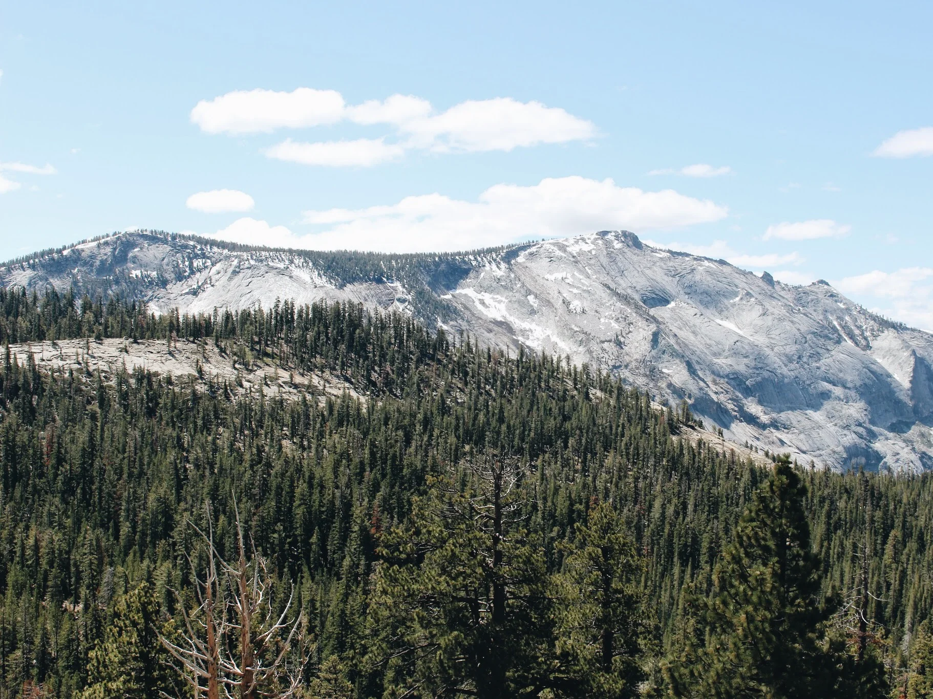 yosemite_vsco12.jpg