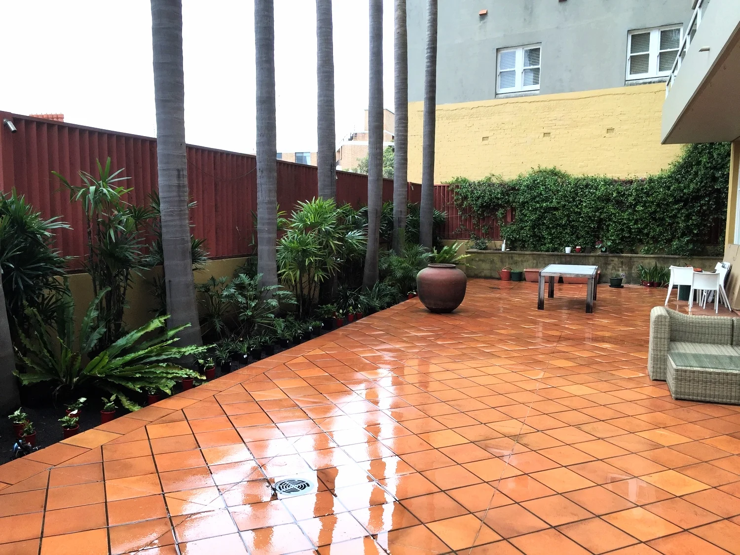 Rooftop Rejuvenation