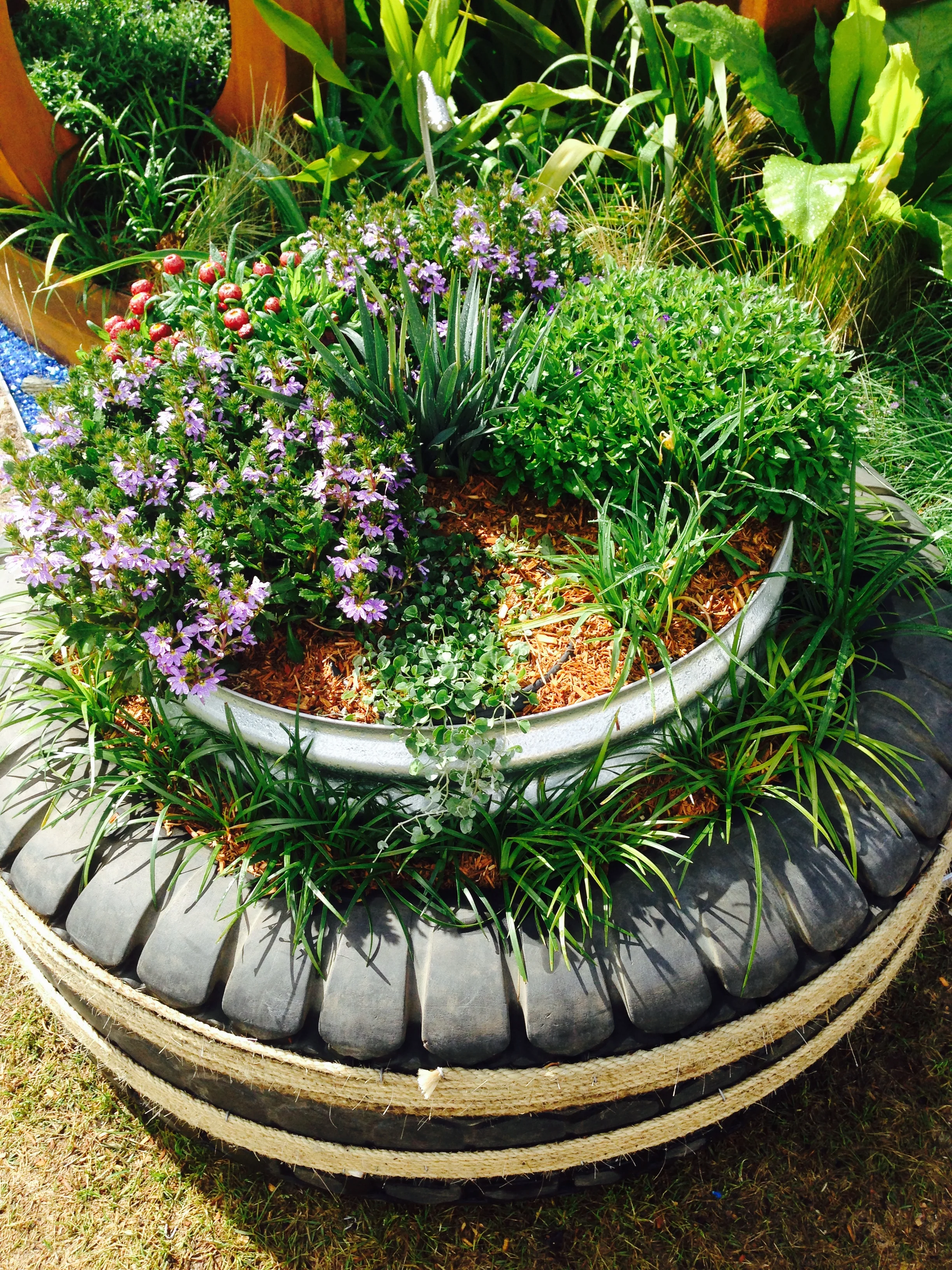 Show Garden