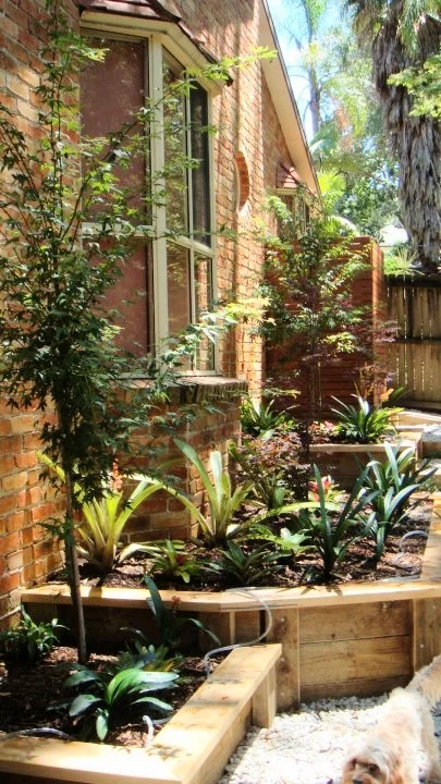 Garden Beds