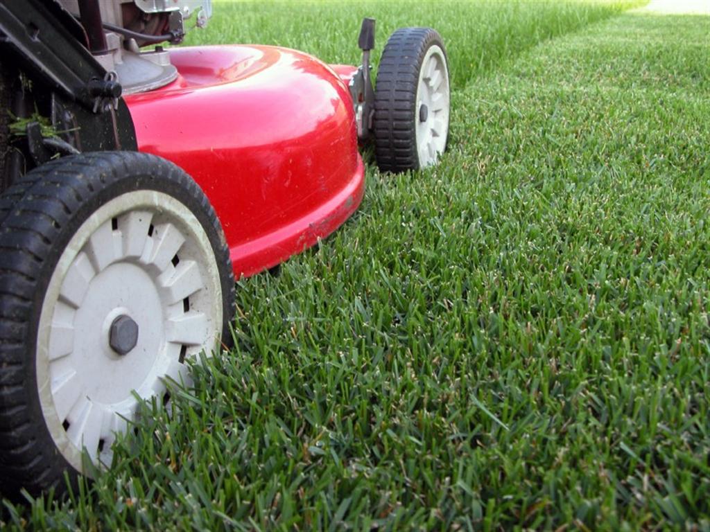 LAWN MOWER.jpg