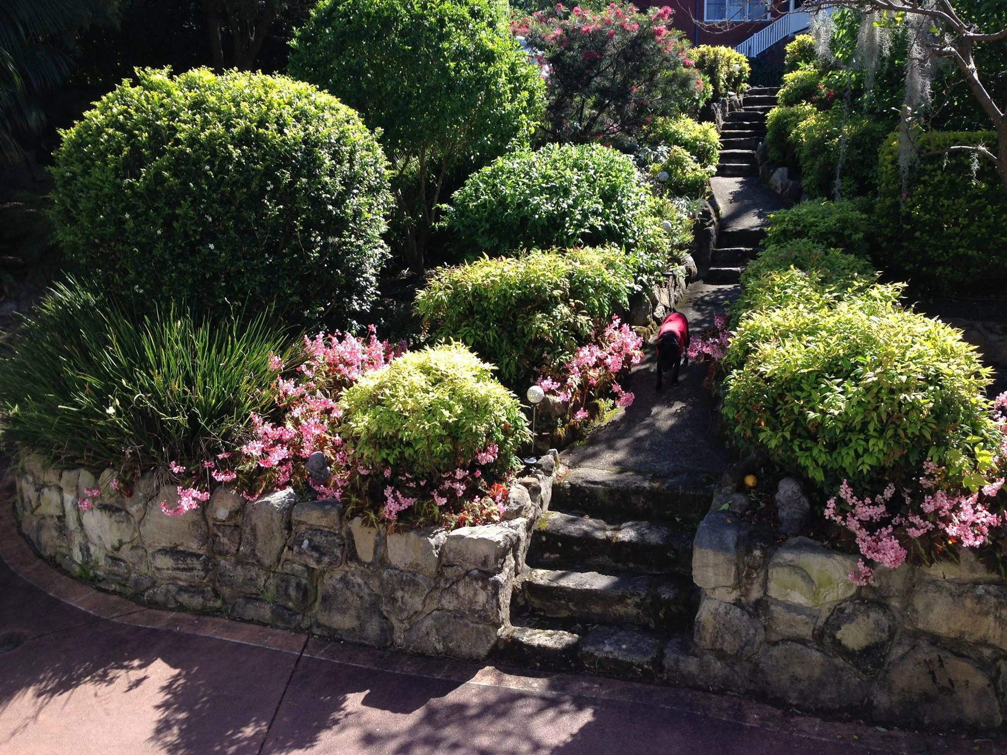 Traditional Garden