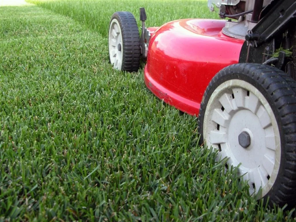 LAWN MOWER.jpg
