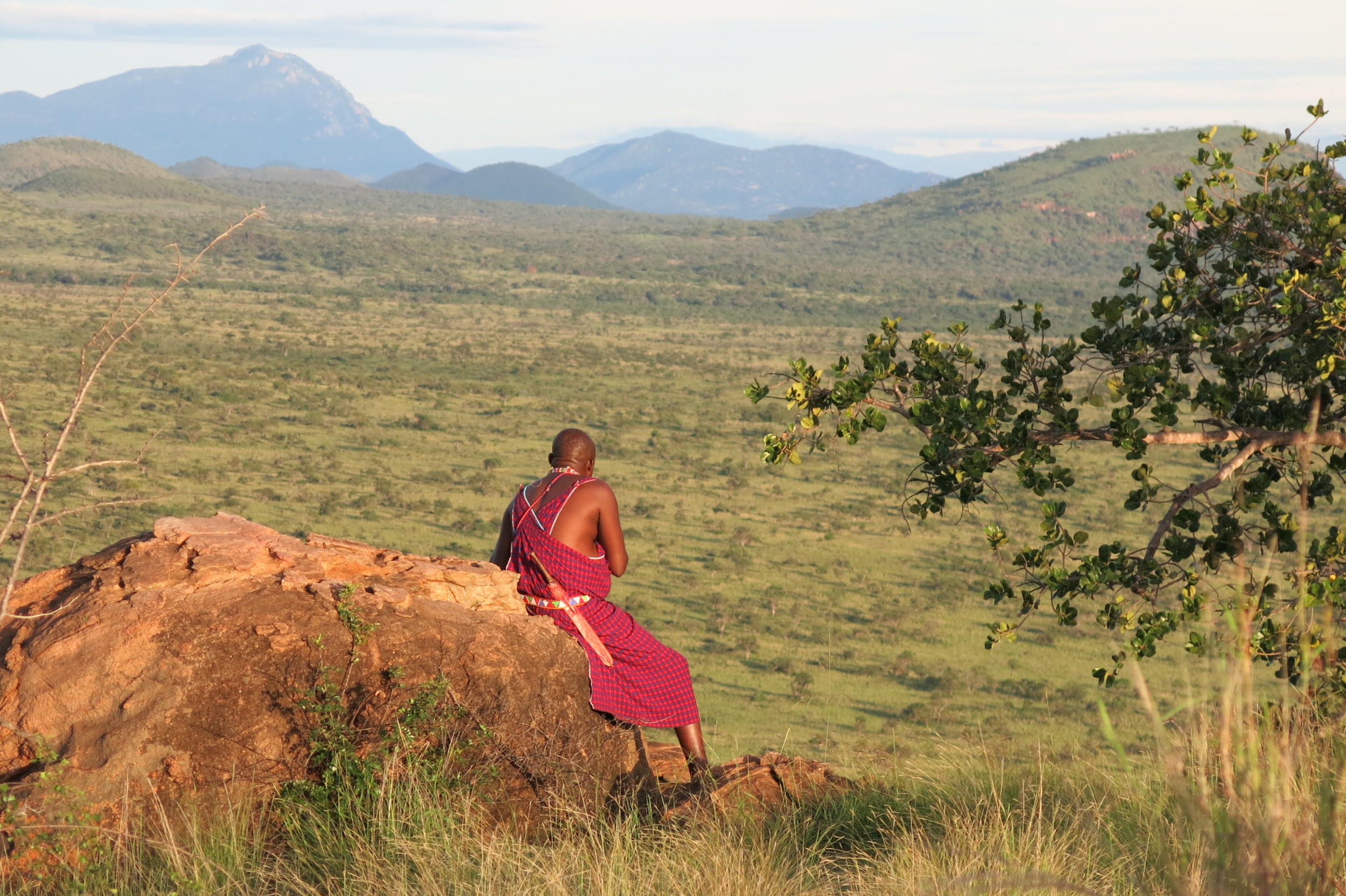 Pashiet, a Maasai warrior, sets out in the Chyulu Hills of Southern Kenya, to protect his village from a marauding lion. This land was the setting for Hemingway's Green Hills of Africa , at the foot of Mt. Kilimanjaro, but t his picture was taken by my friend Kira, when she visited the village in 2013. The territory is Maasai owned land in a migration corridor in between Tsavo and Amboseli National Parks. Although Pashiet is a village elder, it is considered a rite of passage for young men to make the same journey. Photo by Kira Siebert