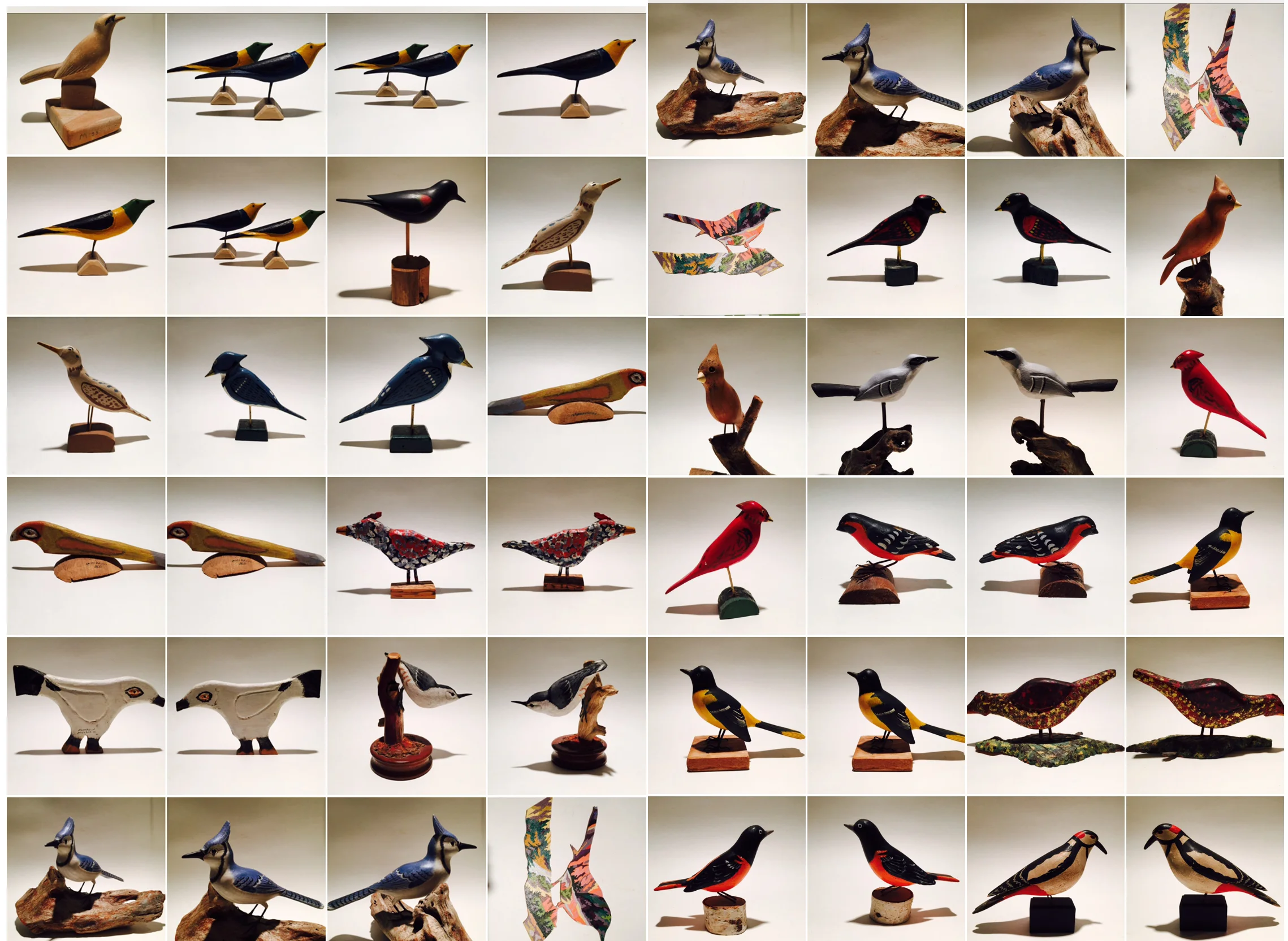 bird-group.jpg