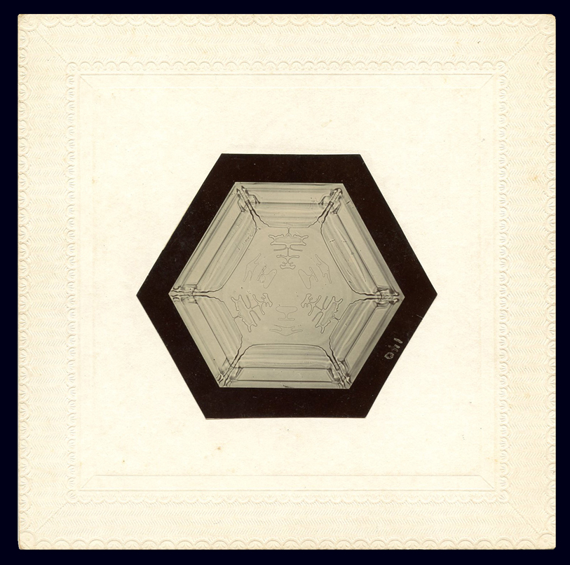  Gelatin silver photograph mounted on card by Wilson “Snowflake” Bentley (1865 - 1931)