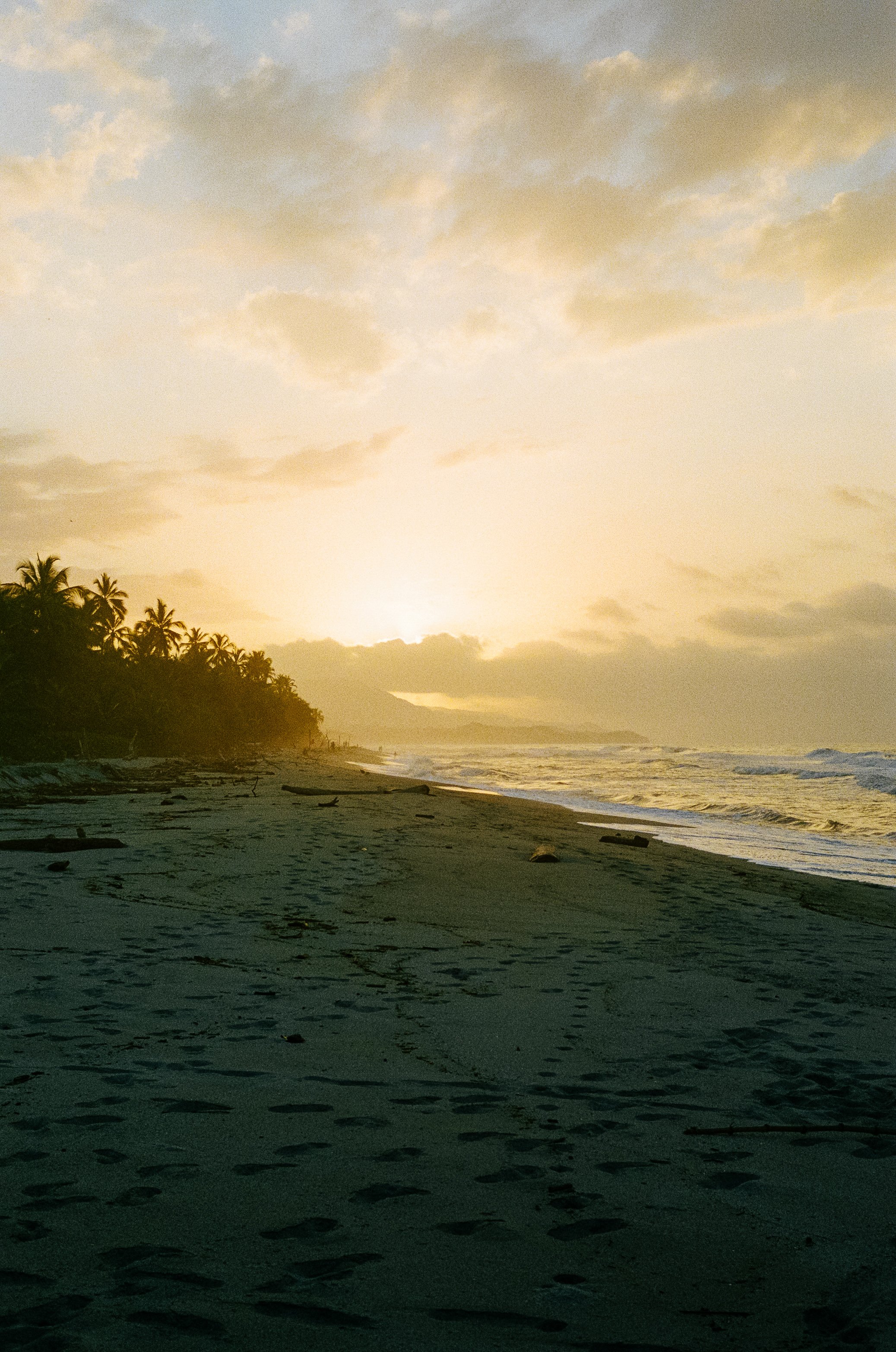 000079280009.jpg