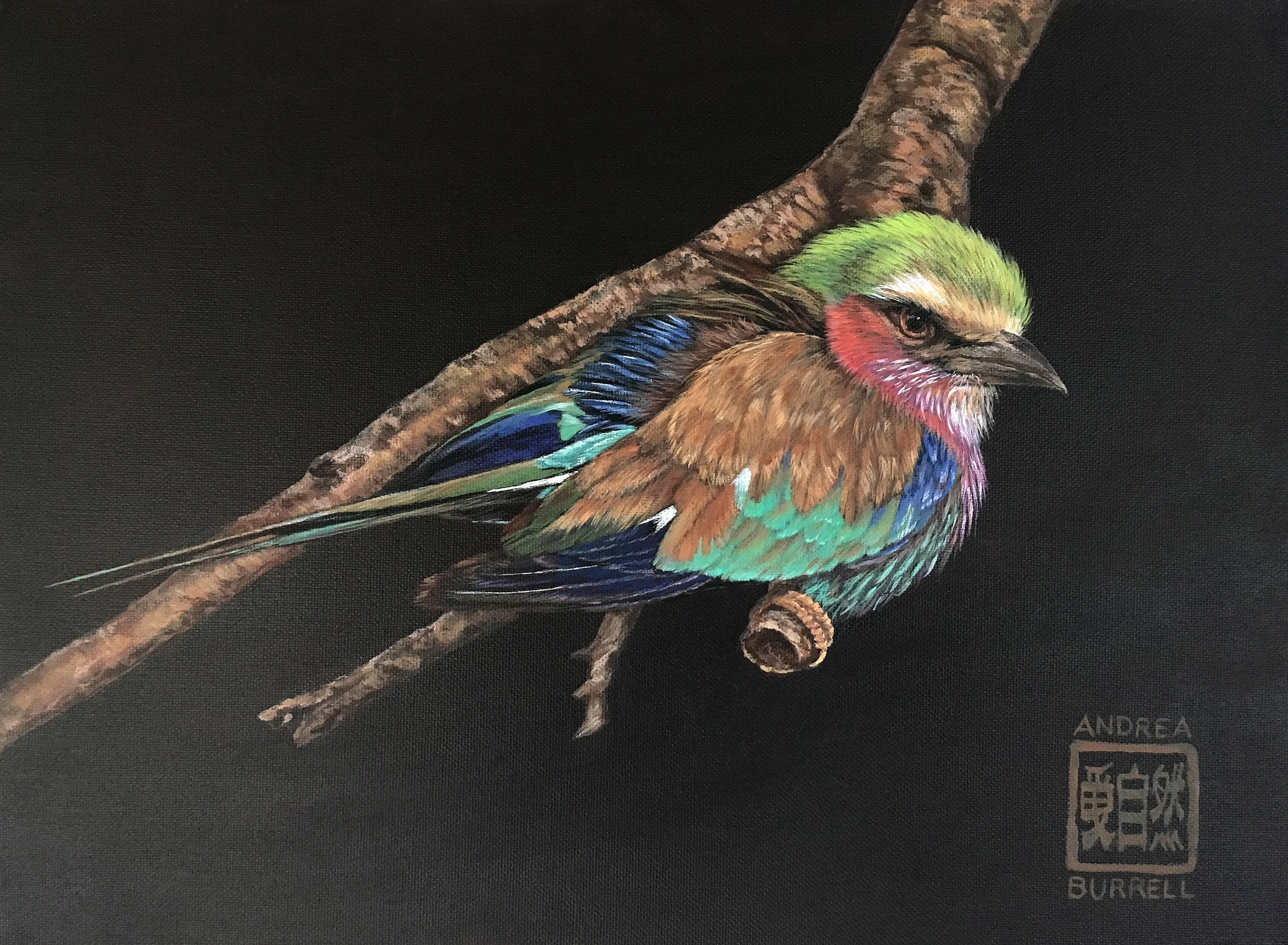 Colorful_Bird.jpg