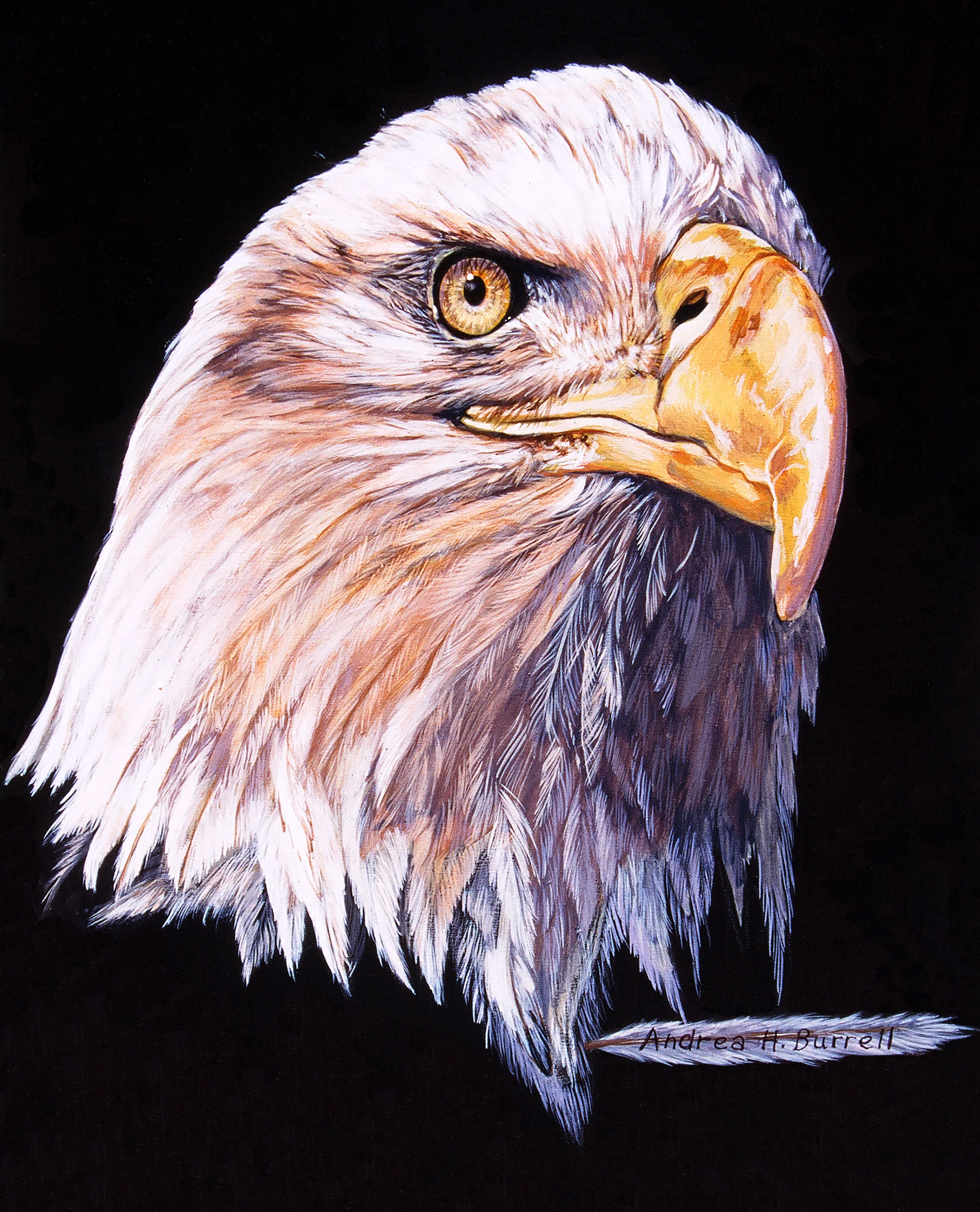 Eagle.jpg