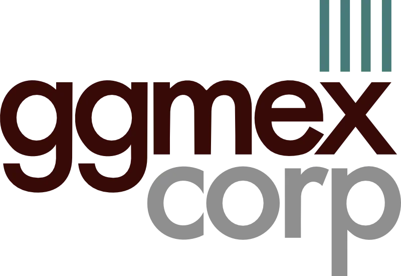 SOLUCIONES EN COMERCIO EXTERIOR