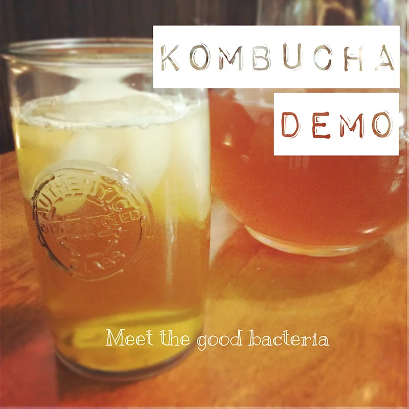 Kombucha-Back-To-Roots-1.jpg