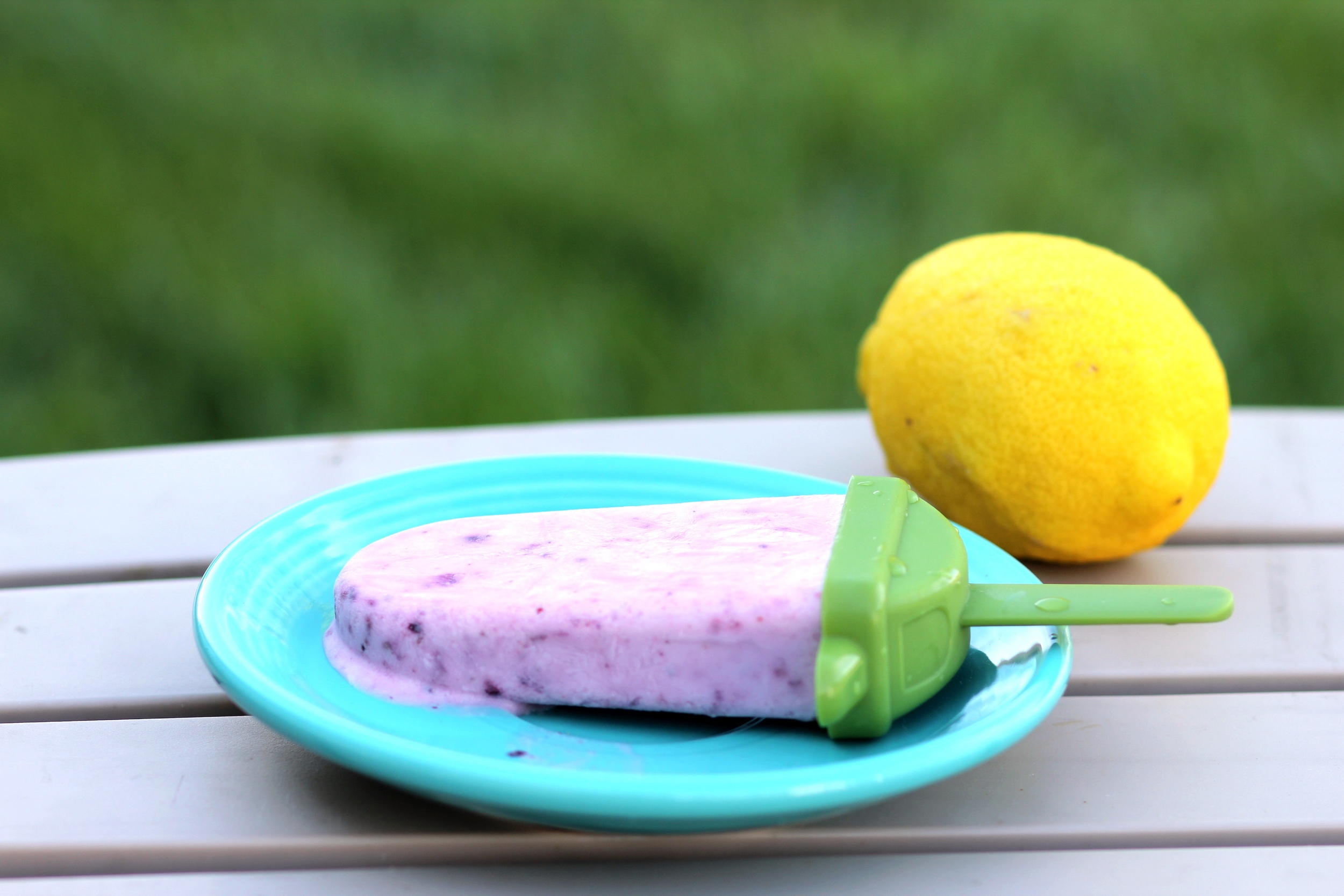 Zesty Lemon Blueberry Popsicles (dairy-free!)