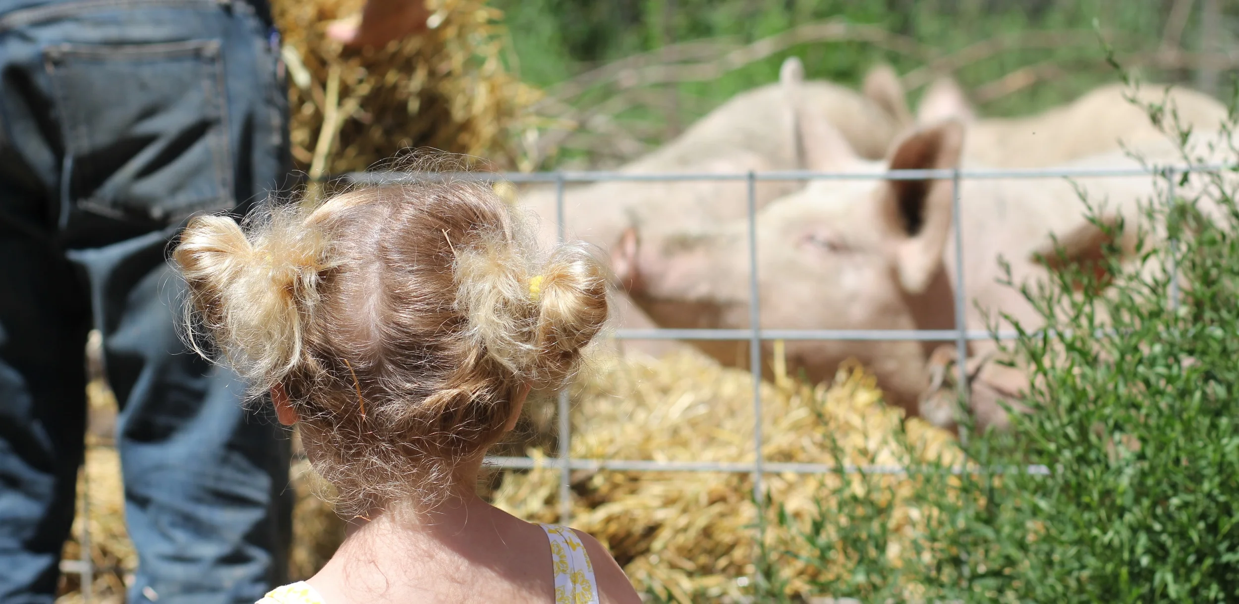 Earnest Acres Pastured Farm