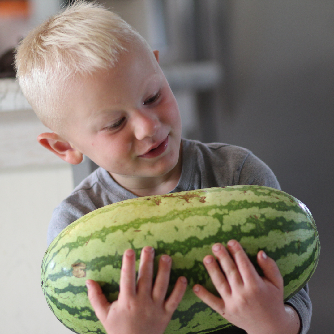 3 Projects to Get Kids Excited About Real Food