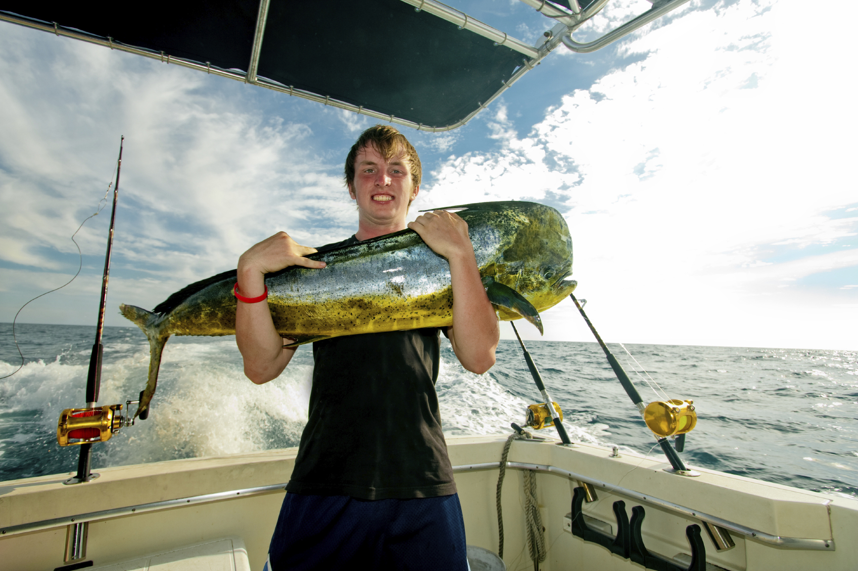 Mahimahi.jpg