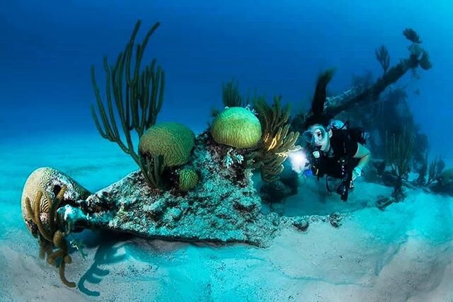 Happy new year to all of our wreck divers and history buffs! 🥂🐚One of our favourite wrecks with some fantastic history, the infamous Mary Celestia captured by @stuart_philpott with @scubababe88. Shining her touch on the bow where the bottles of win