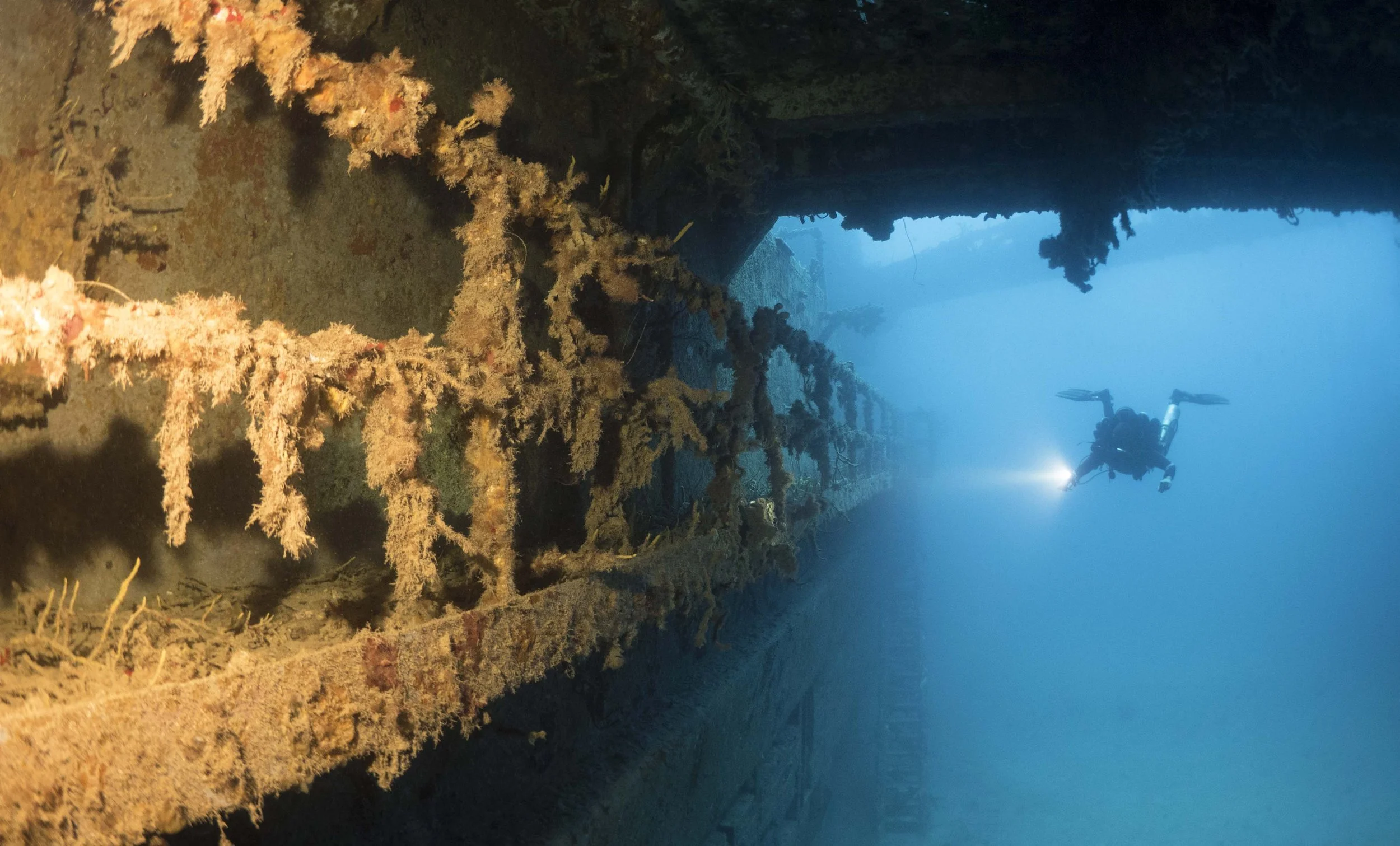 TDI-Diver-Lights-Up-Wreck-with-Flashlight-Photo - Copy.jpg